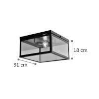 InLight Πλαφονίερα οροφής από μαύρο μέταλλο και διάφανο γυαλί (42153 B-Μαύρο)